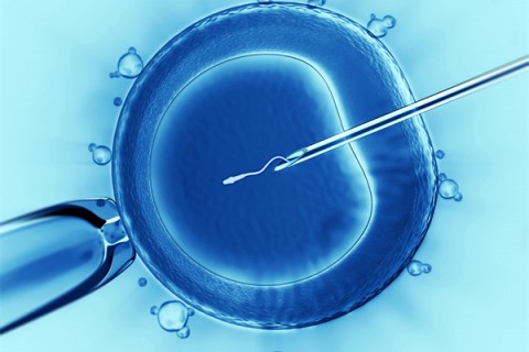 http://weifang.vdtfzz.com/post/198.html|潍坊代生助孕
