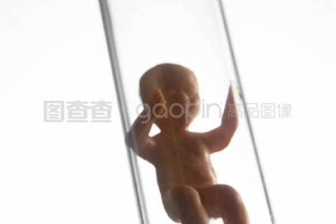 http://weifang.vdtfzz.com/post/197.html|潍坊试管助孕