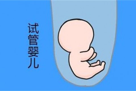 http://weifang.vdtfzz.com/post/194.html|潍坊新闻中心