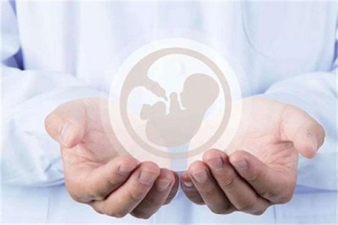 http://weifang.vdtfzz.com/post/214.html|潍坊人工试管