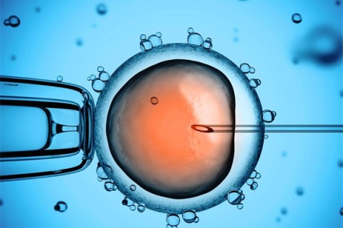 http://weifang.vdtfzz.com/post/199.html|潍坊供卵助孕
